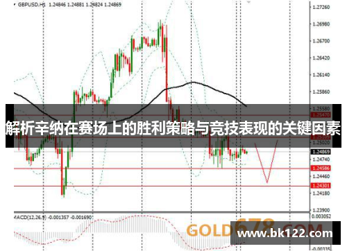 解析辛纳在赛场上的胜利策略与竞技表现的关键因素